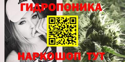 амф Усть-Джегута